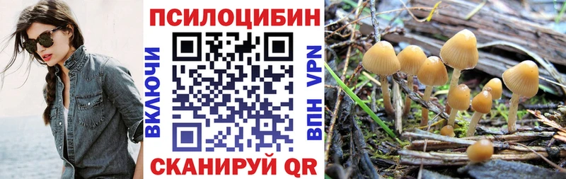 Галлюциногенные грибы GOLDEN TEACHER  kraken ссылки  Краснокаменск 