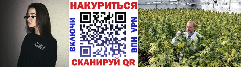Бошки марихуана семена  omg tor  Краснокаменск 